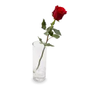 Bouquet of pink and red roses
